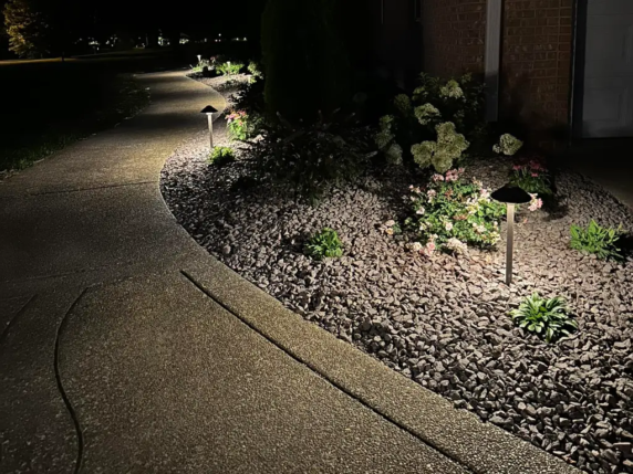 Pathway with Landscape lights