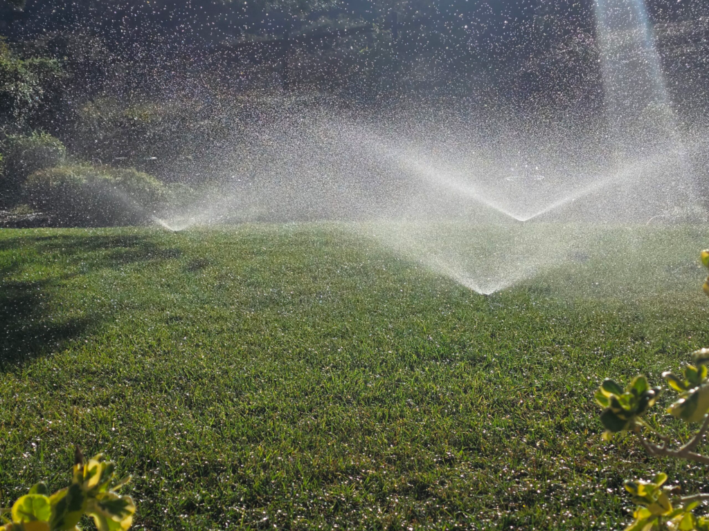 Sprinklers Actively Spraying Lawn